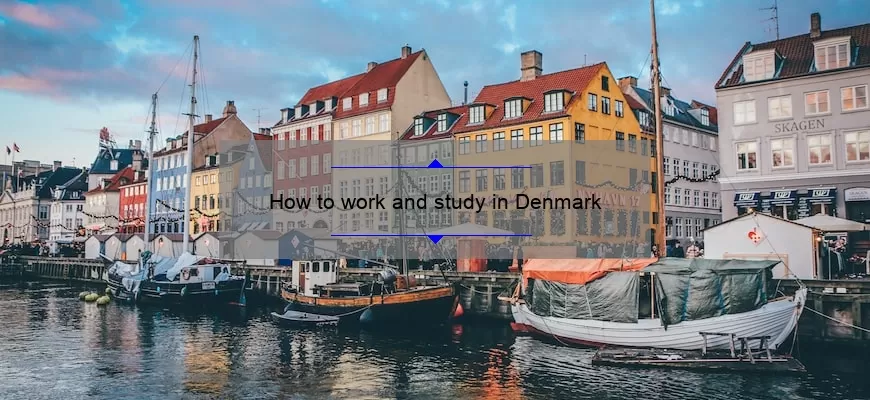 How to work and study in Denmark