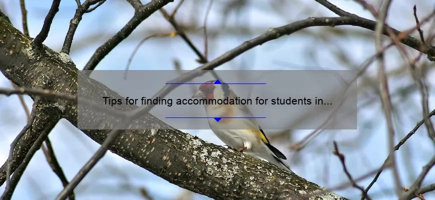 Tips for finding accommodation for students in Europe